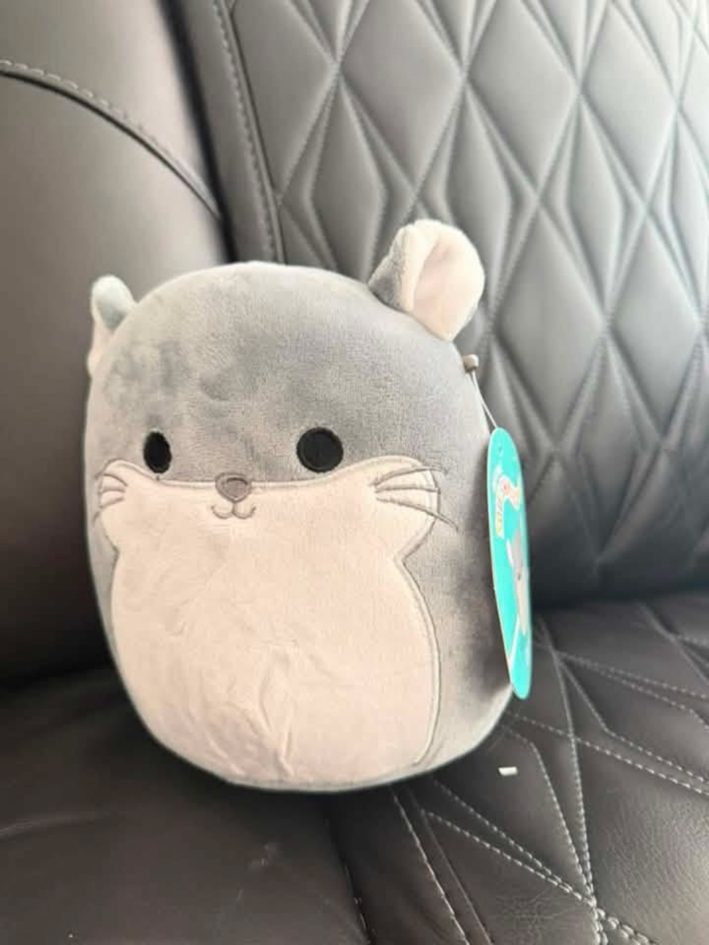 NWT Squishmallow